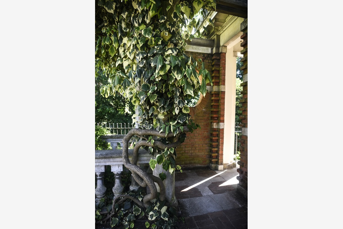 Photo of Romantic Park Plan taken by Lucky Sliver Sixpence