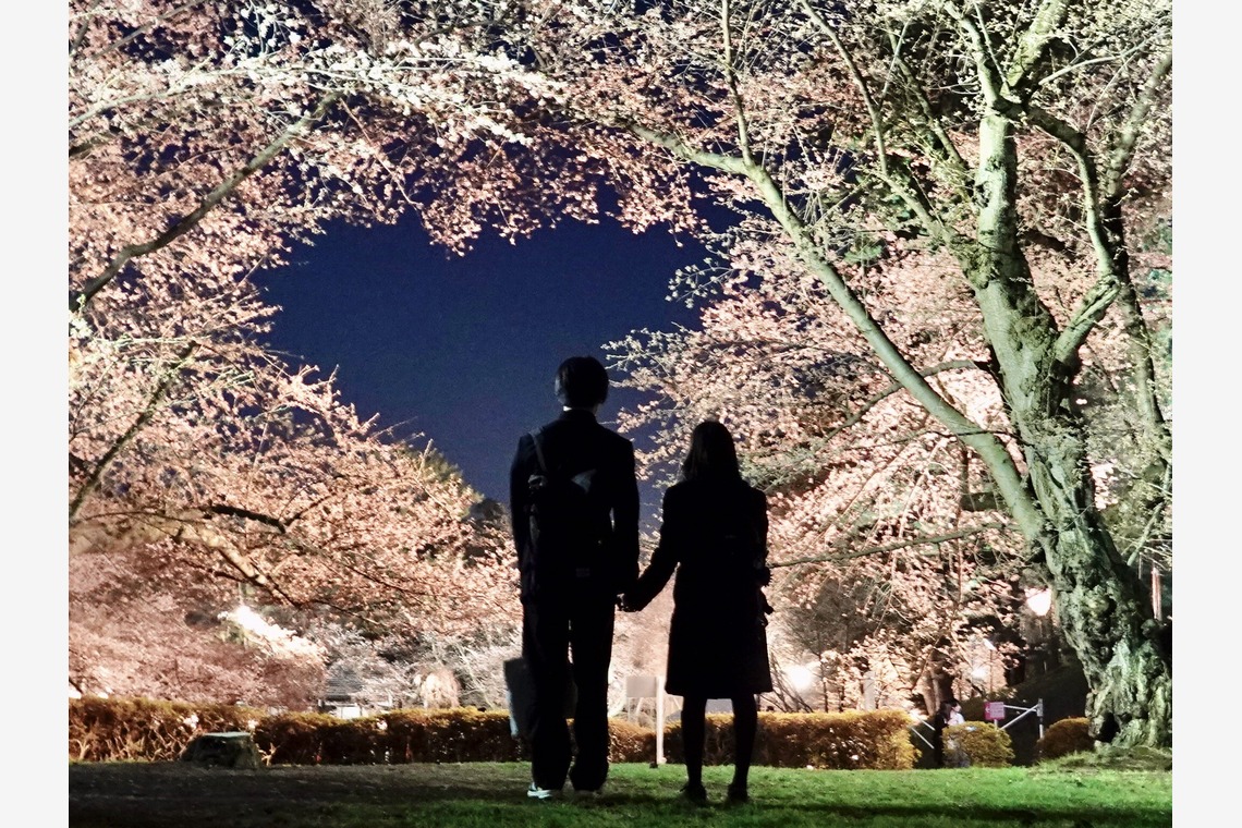 TATEZOUが撮影した写真のアルバム「ポートレート等」