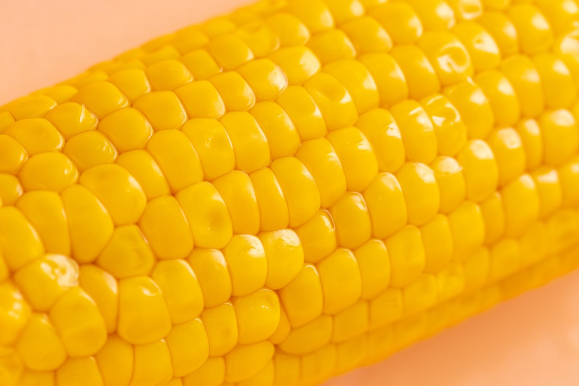 Hiroが撮影した「スタジオ、出張撮影」の写真