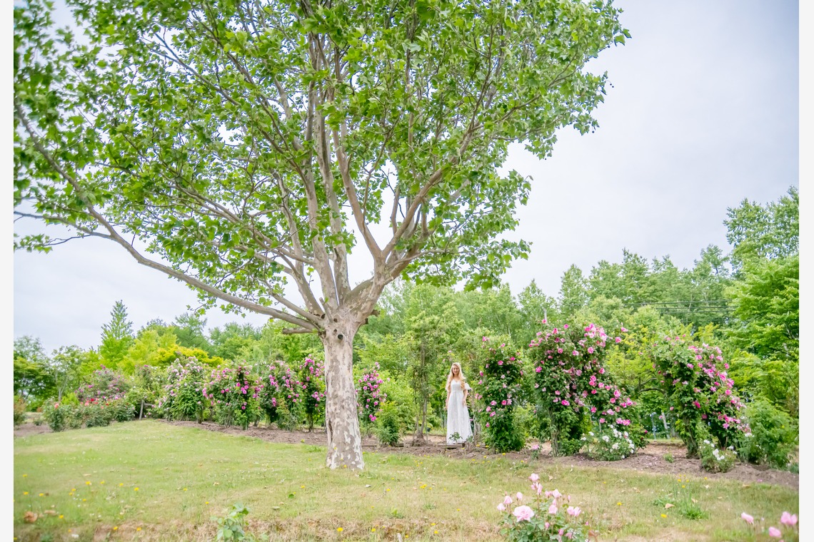 Photo of Hokkaido Photo Wedding taken by DESIGN STUDIO EE
