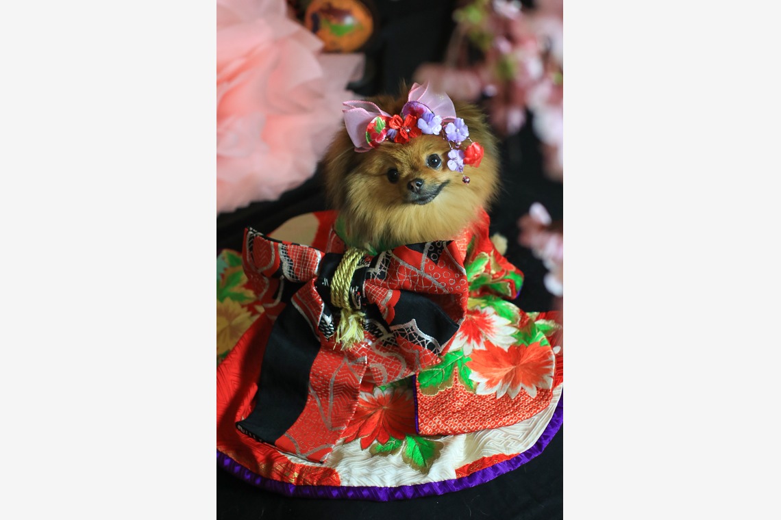 高橋 透（Coo&Sea STUDIO代表）が出張撮影した家族写真(キッズ,ベビーフォト)などが写った「お正月撮影会2020@新横浜Coo&Sea STUDIO」の家族写真