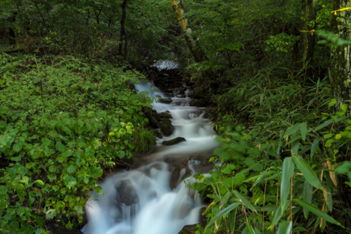 手塚隆弘が撮影した「気ままに」の写真