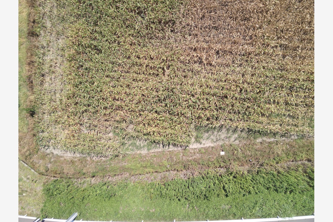 アナハイムエレクトロニクスが撮影した「震災農地調査」の写真