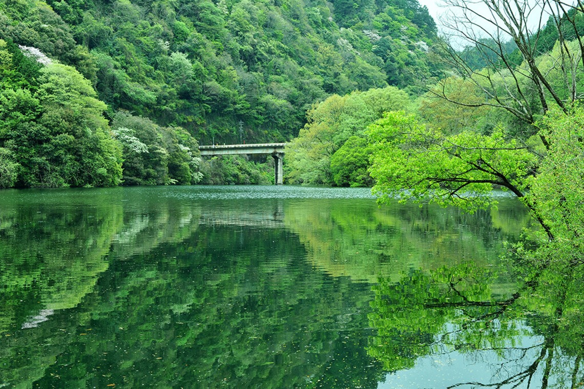 若林聖人が撮影した「撮影例」の写真
