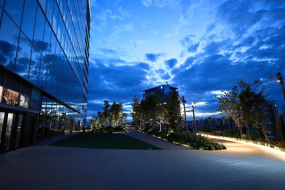 稲葉幸辰が撮影した「夜空に輝く欅坂46」の写真