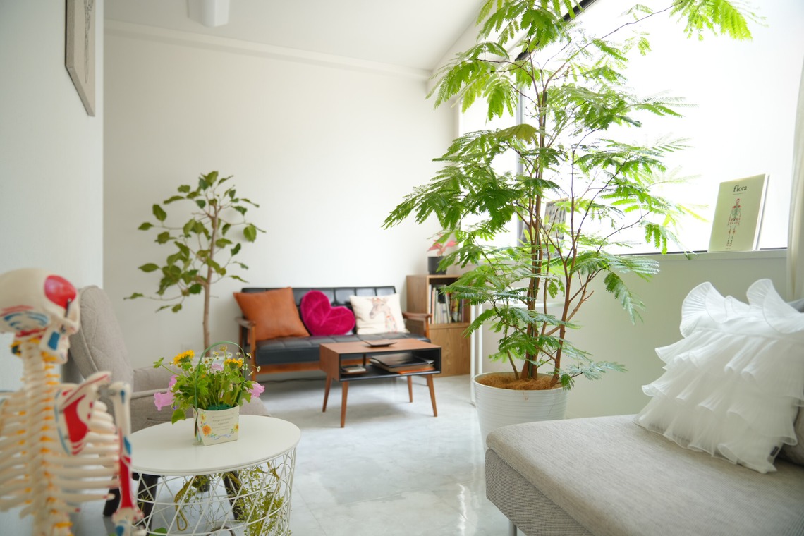 池田尚史が撮影した「店舗、オフィス、サロン、お部屋、物撮り」の写真