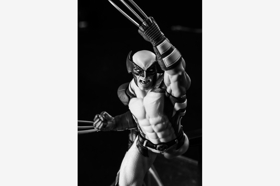 写真屋ごんちゃんが撮影した「figure」の写真