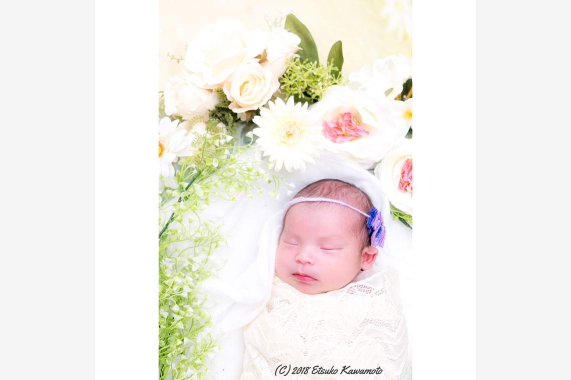 かわもとえつこが撮影したニューボーンフォトのアルバム「ニューボーンフォト」