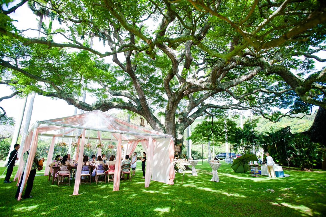 Album of the Wedding, Bridal taken by Heritage Bridal Collection - 