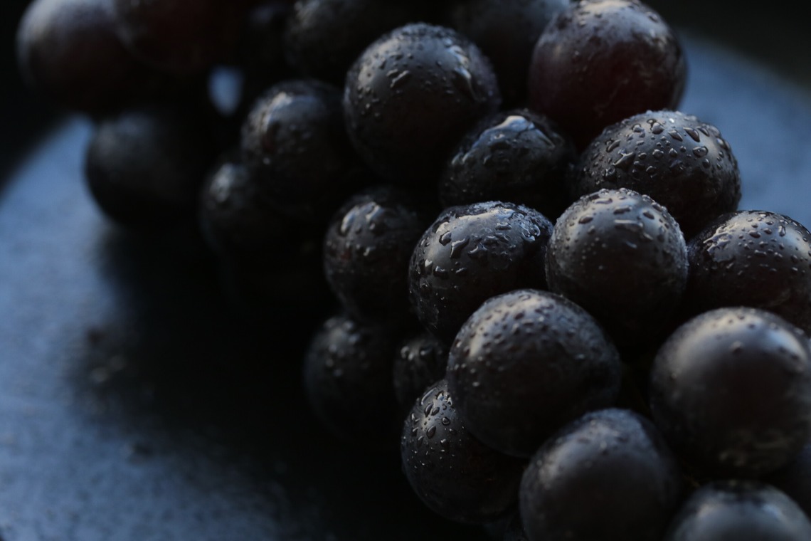 イトウ　ノブミチが撮影した「商品撮影」の写真