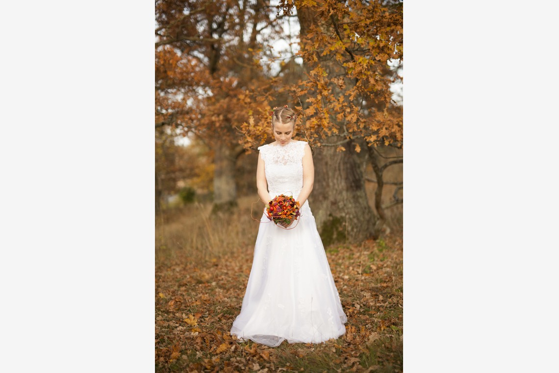 Tanja Metelitsaが撮影した「スウェーデーン」の写真