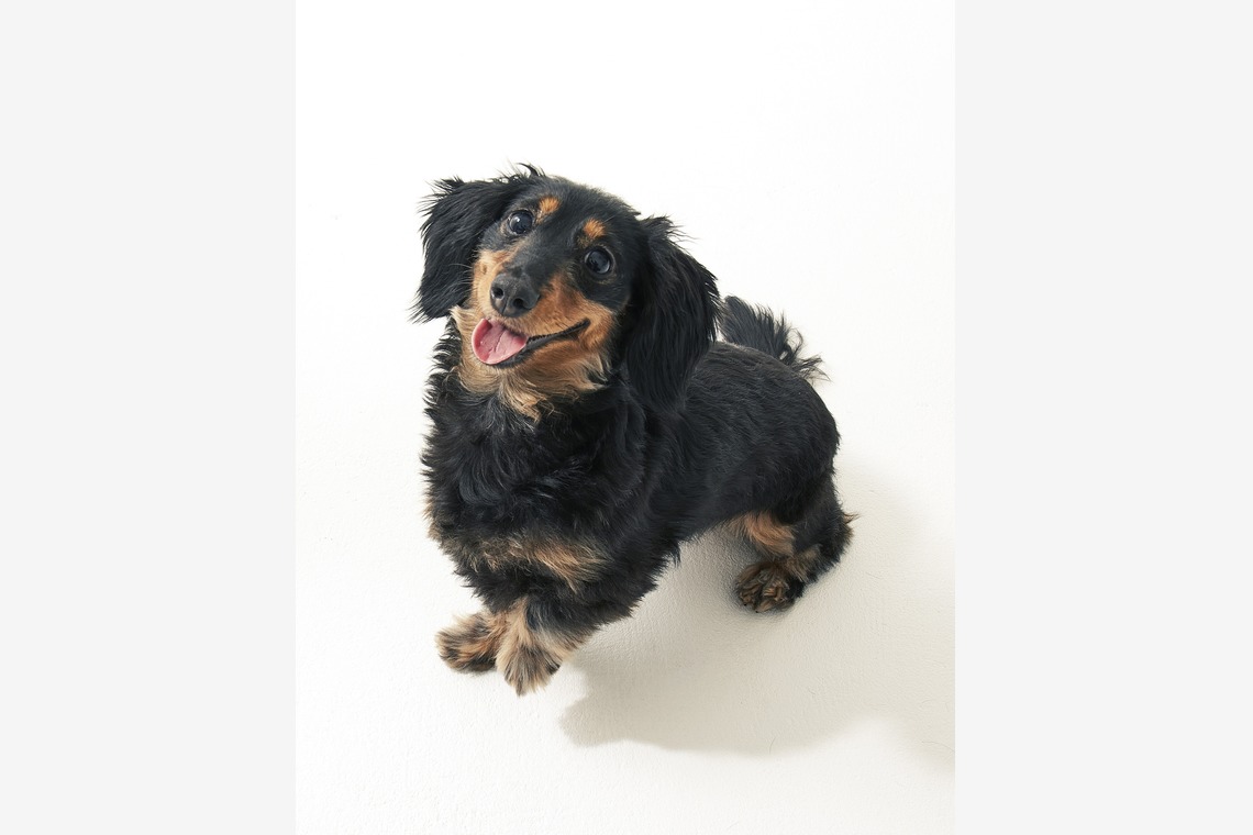 株式会社　レッドポイント