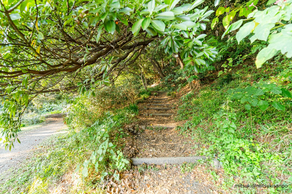 永田 光起