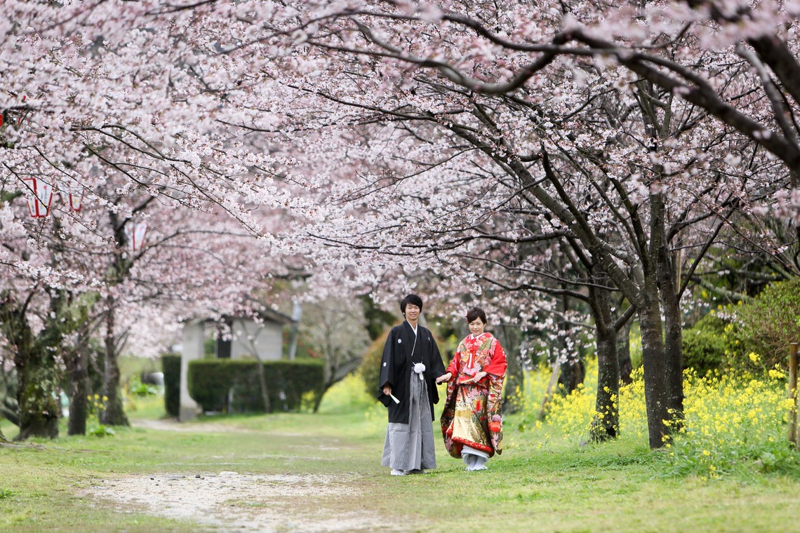 KIKIウェディングが撮影した写真のアルバム「錦帯橋」