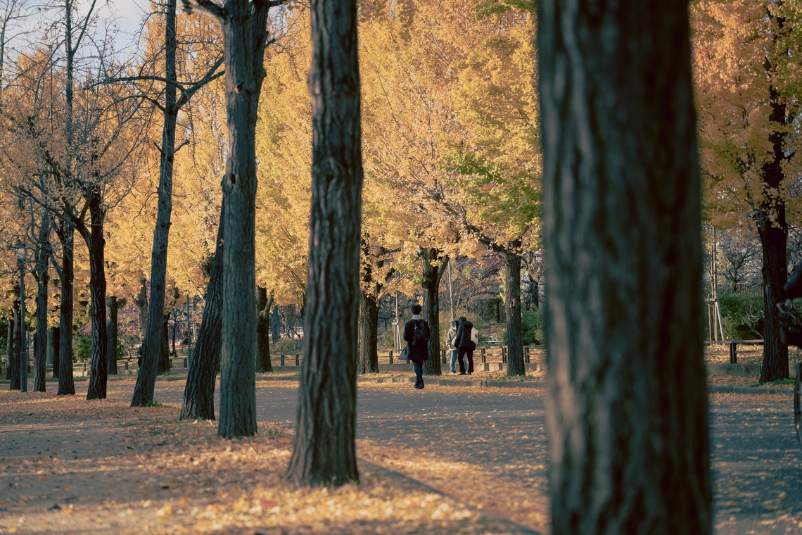 Etographが撮影した「風景」の写真