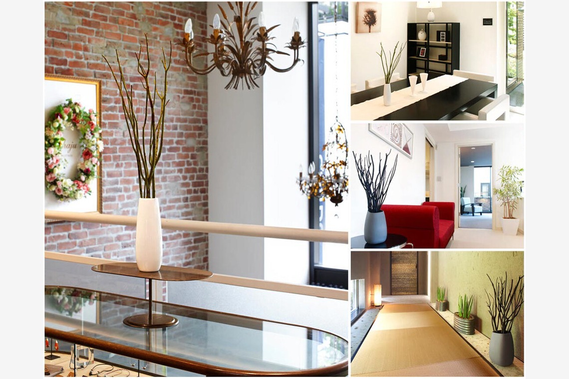 西原毅が撮影した「店舗内観、外観、住宅」の写真