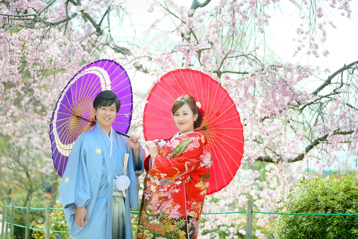 KIKIウェディングが撮影した写真のアルバム「海と桜」