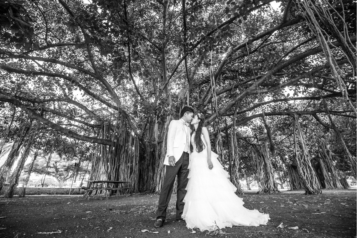 2cconcept (梅田福夫)が撮影した「フォトギャラリー」の写真