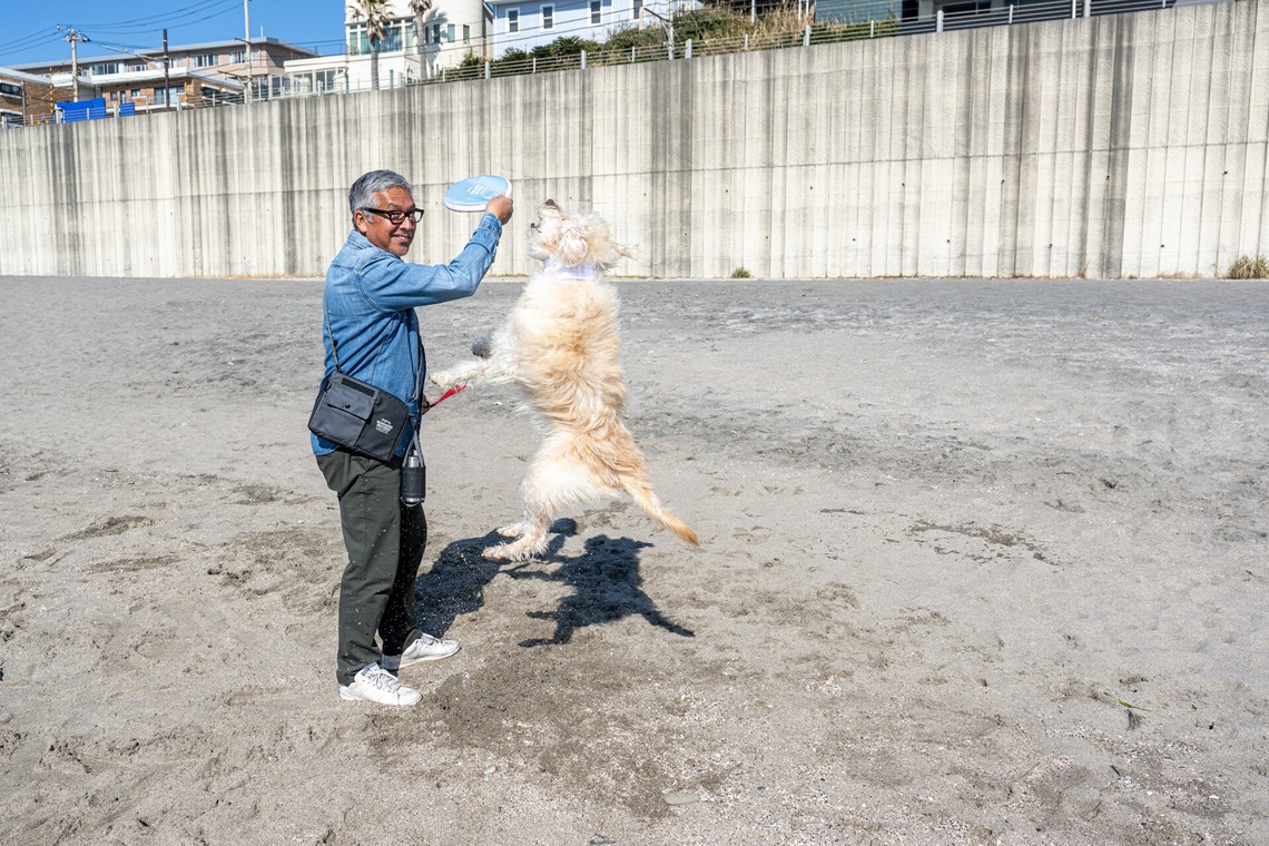 吉田佳央が撮影した「DOG SHOOTING」の写真