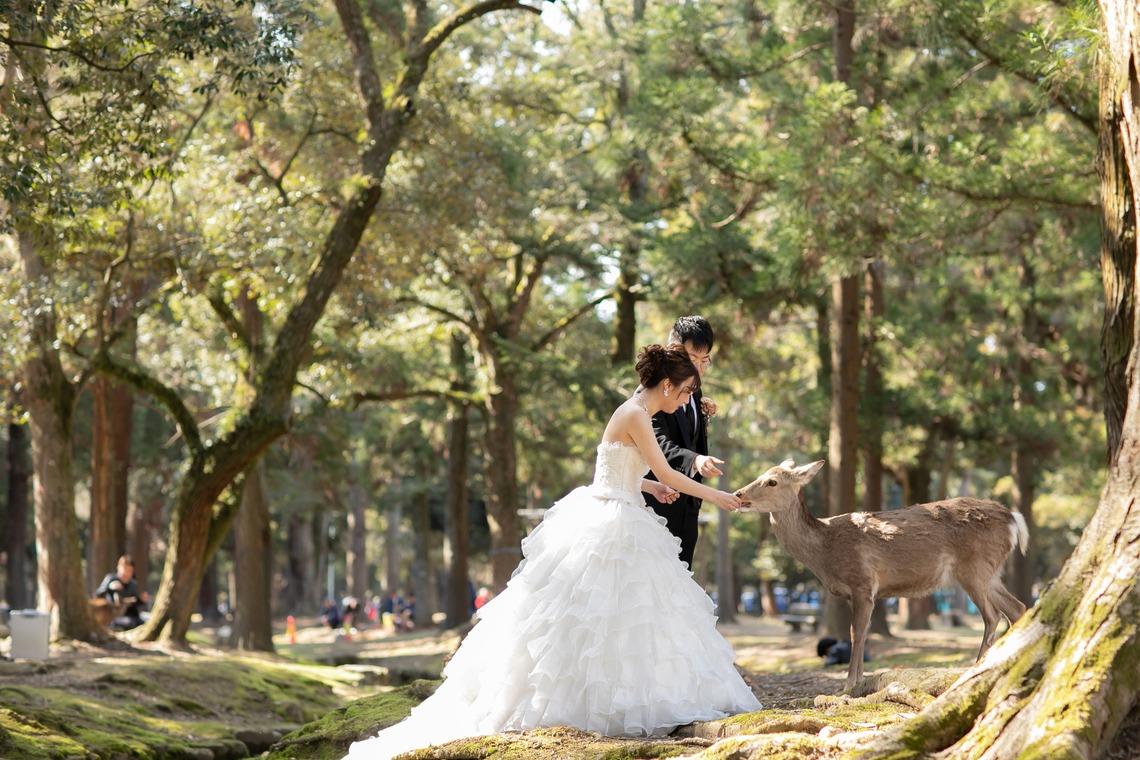 Album of the Location Photo Shoot taken by 今西健二 - Pre-shooting location shooting