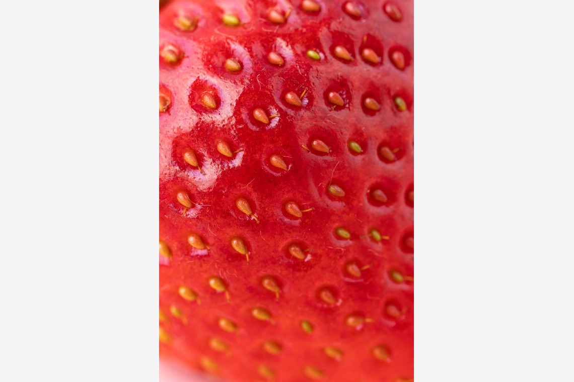 Hiroが撮影した写真のアルバム「スタジオ、出張撮影」