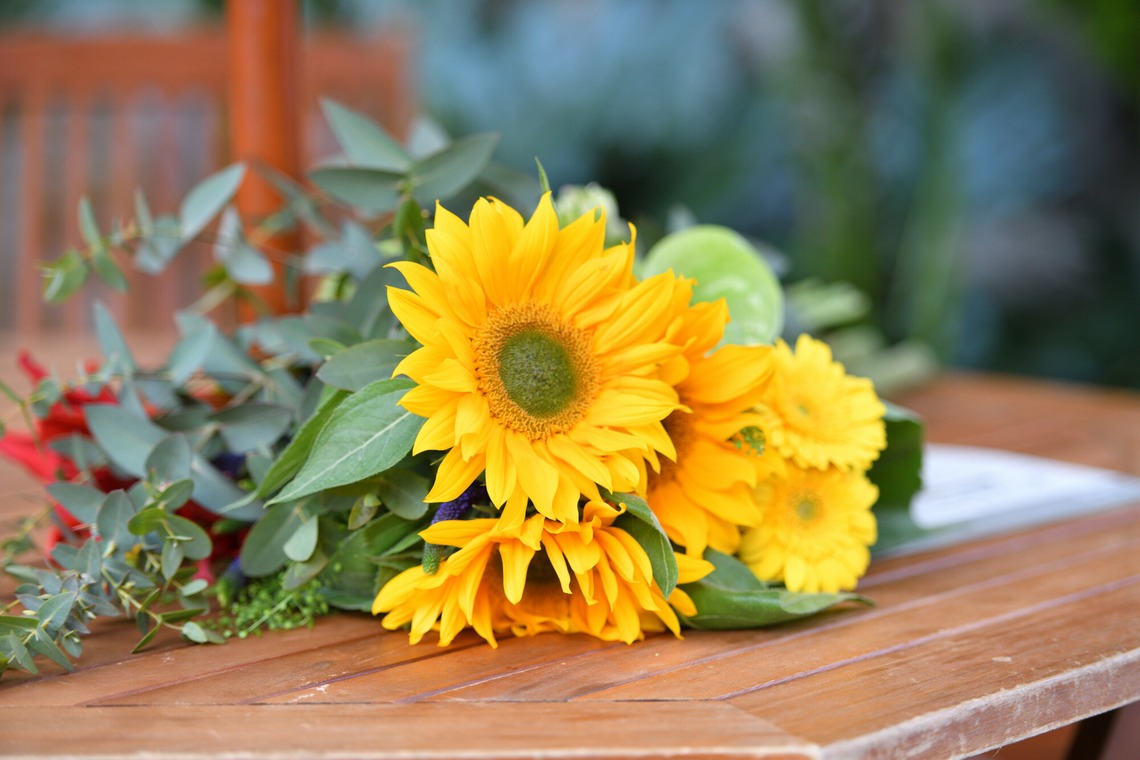 ライトステージ