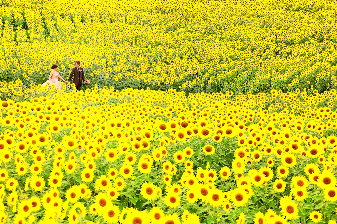 Wedding Produce FILが撮影した写真のアルバム「フォトギャラリー」