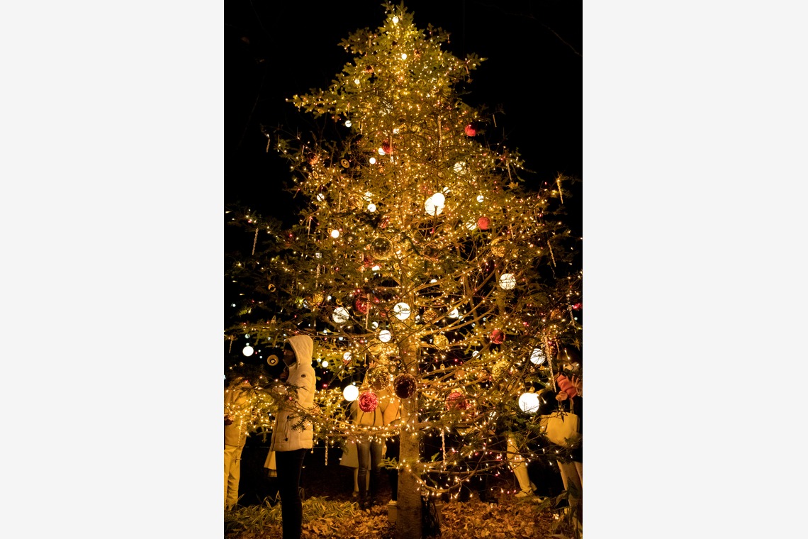 光画堂スタジオが撮影した「各種イベント」の写真