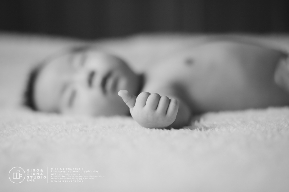 MF STUDIO Migoが撮影した写真のアルバム「新しい生まれの写真」