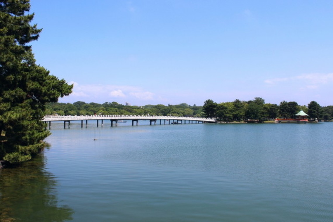 STUDIO AN (スタジオアン)が撮影した「大濠公園」の写真