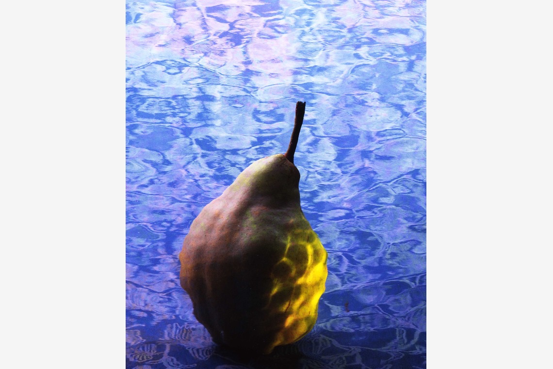 kiharu&photoが撮影した「物撮り【イメージ】」の写真