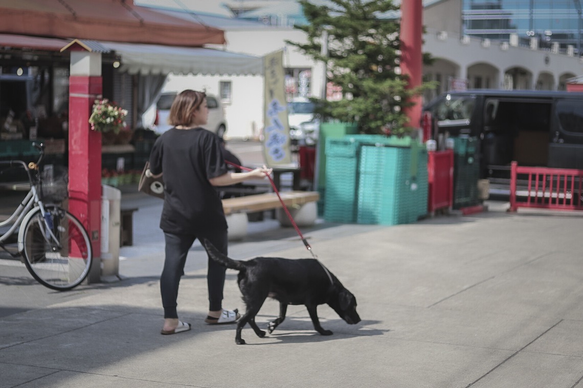 芳賀 翔大が撮影した写真のアルバム「コロナ禍の商店街」
