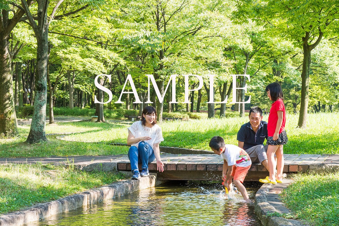 TOKOが撮影した「肖像」の写真