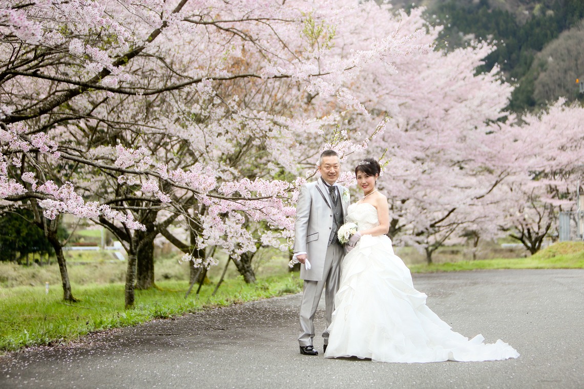 KIKIウェディングが撮影した写真のアルバム「桜　桜　桜」
