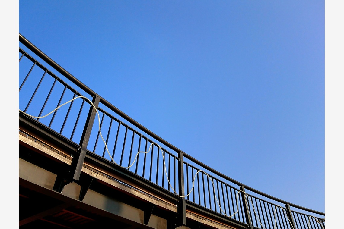 出張撮影のメモリーズが撮影した「nature-アラカルト」の写真