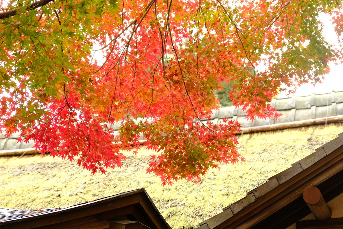 KotobukiPhotosが撮影した写真のアルバム「風景」