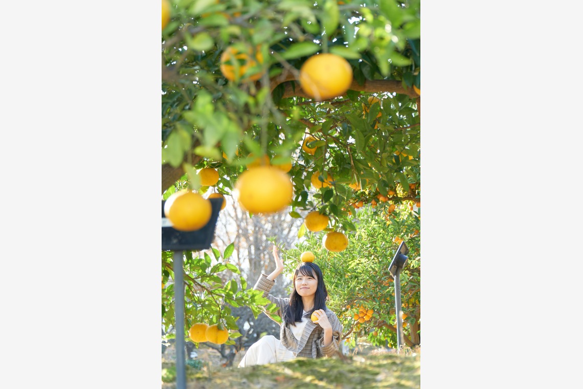 長崎 翔太が撮影した写真のアルバム「人物サンプル」