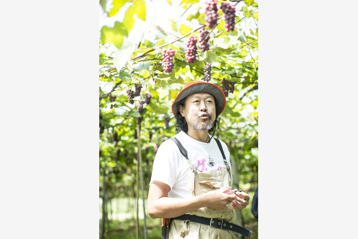布川航太が撮影した写真のアルバム「職人撮影-ワイナリー」