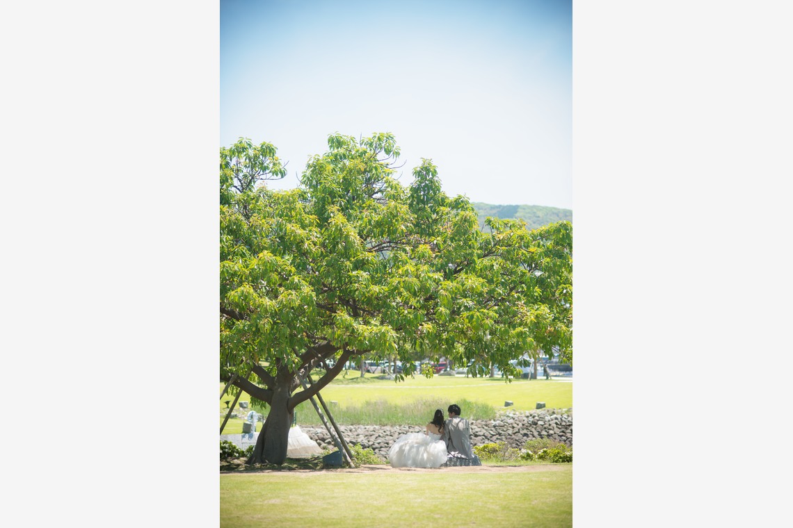 竹部 祐樹が撮影した写真のアルバム「ウェディング前撮り＠水辺の森公園」