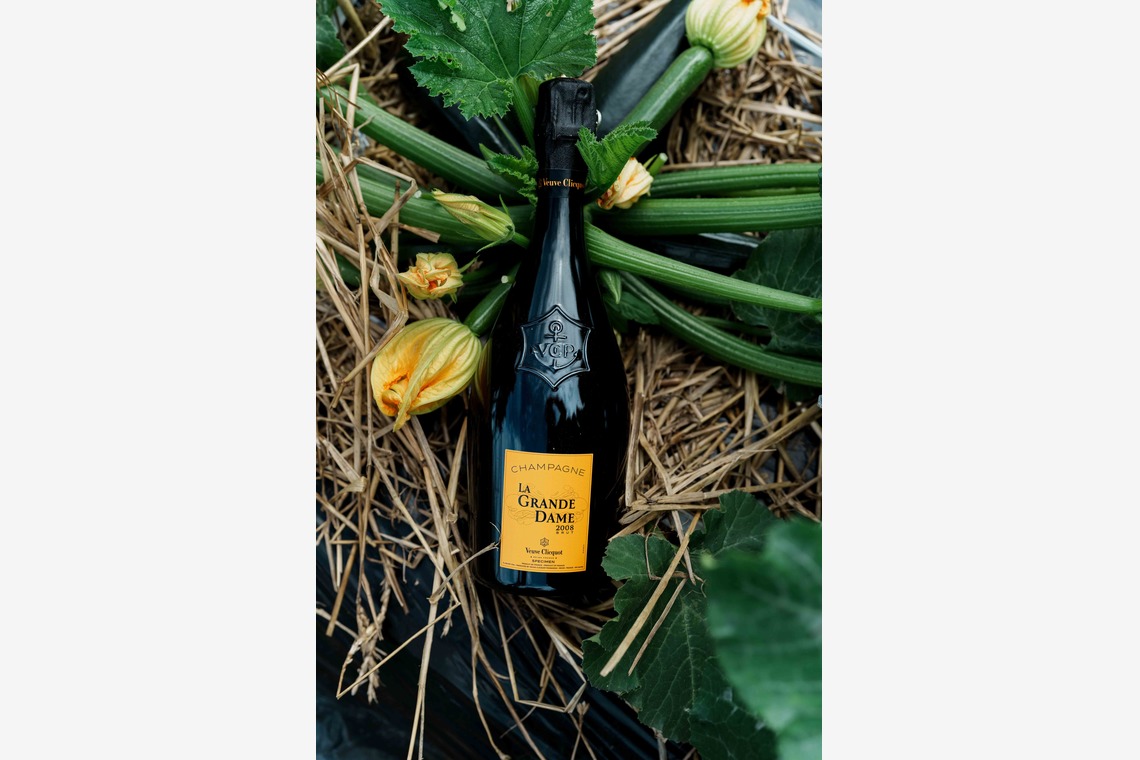 株式会社DAVINCI-Developmentが撮影した「プロダクト撮影」の写真