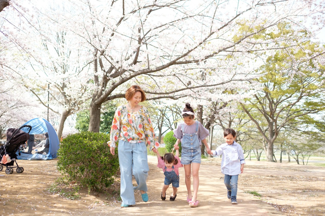 高野和希が撮影した写真のアルバム「桜での家族フォト」