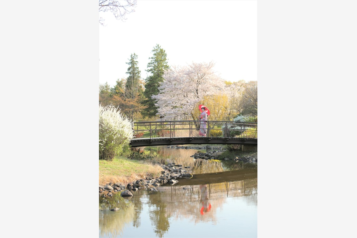 Photographer  Tomoが撮影した写真のアルバム「成人の日」