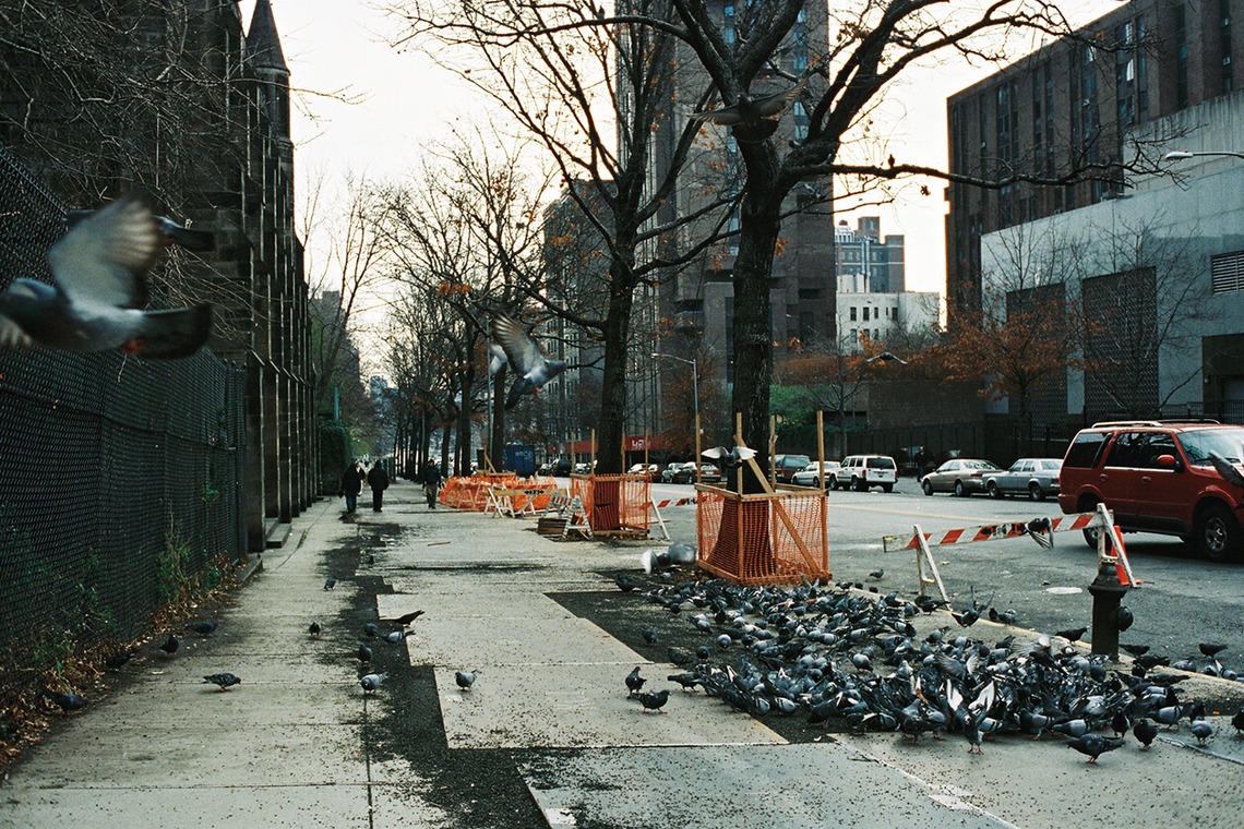 森田寫眞館が撮影した「N.Y」の写真