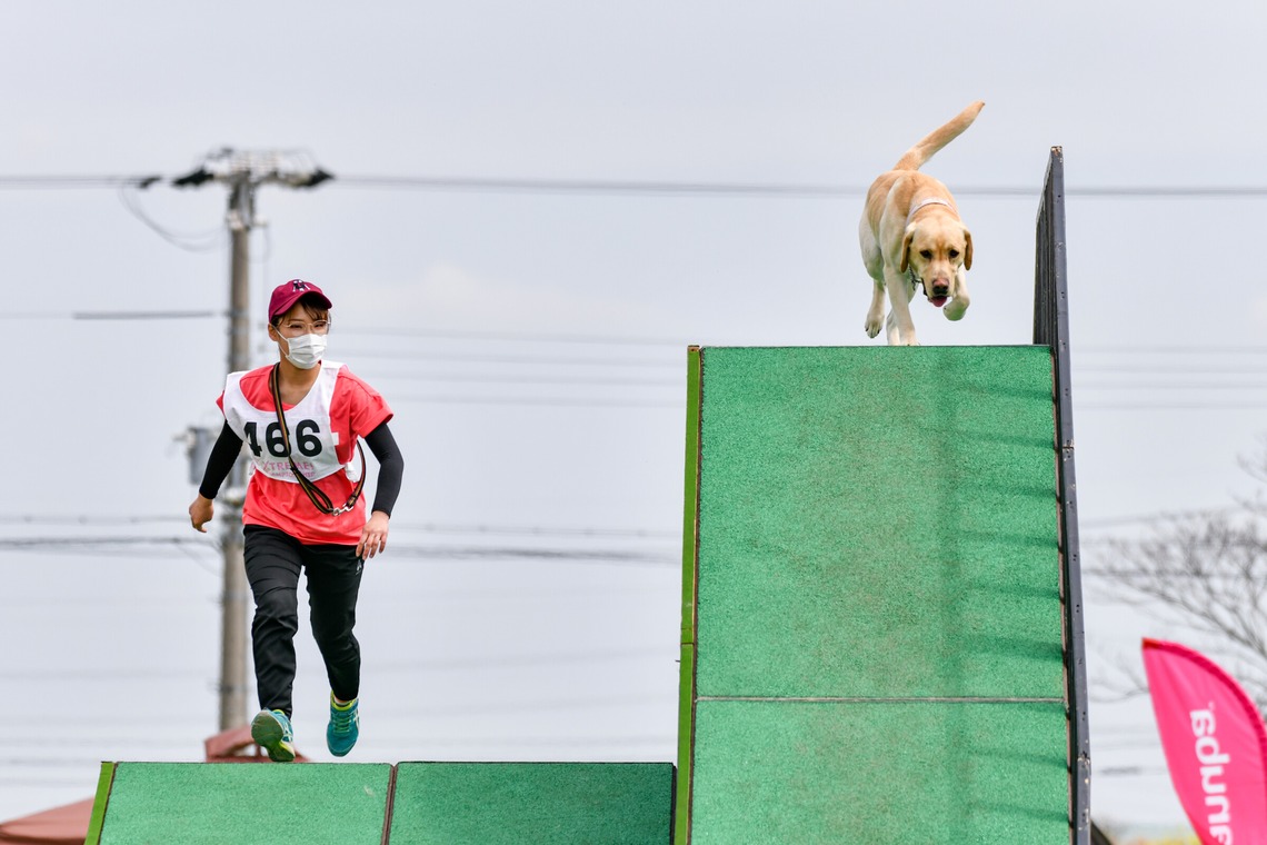 スタジオファンタスが撮影した写真のアルバム「ドッグスポーツエクストリーム」