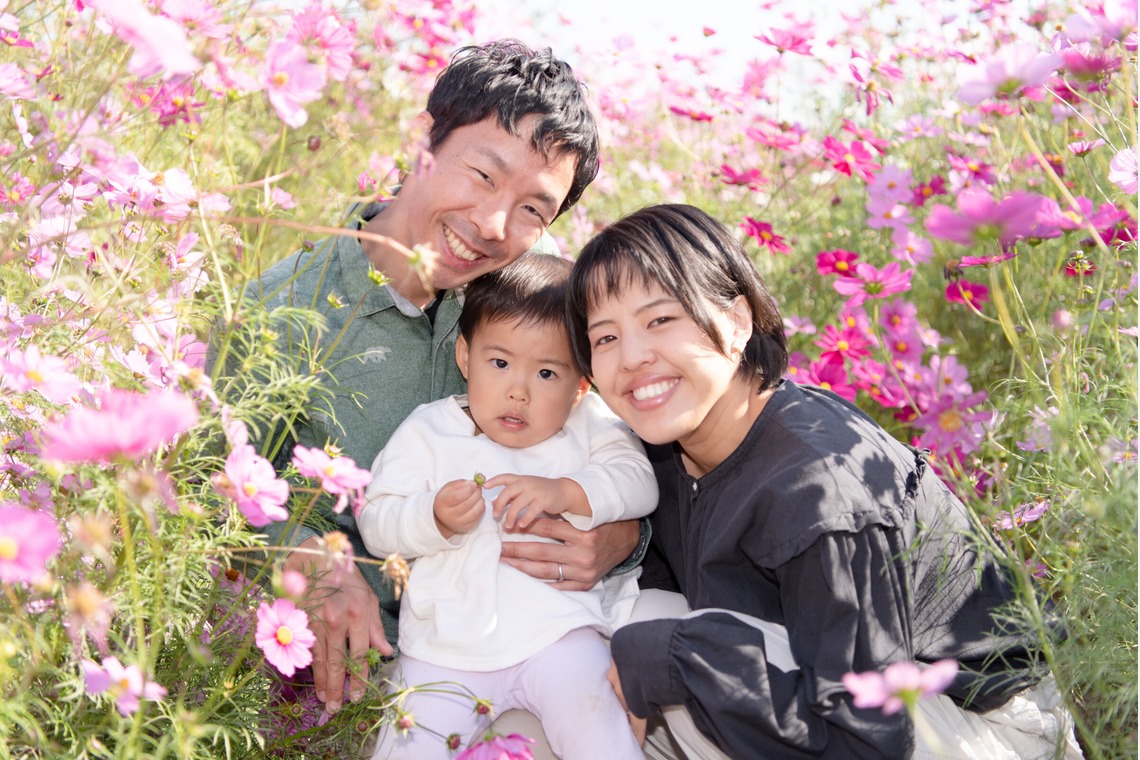 福永写真事務所が撮影した写真のアルバム「家族写真（コスモス畑）」
