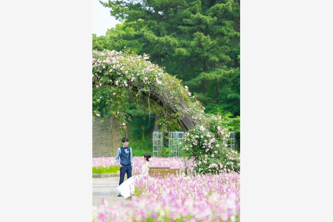 meganecco Photographyが撮影した写真のアルバム「結婚式前撮り@ひたち海浜公園」