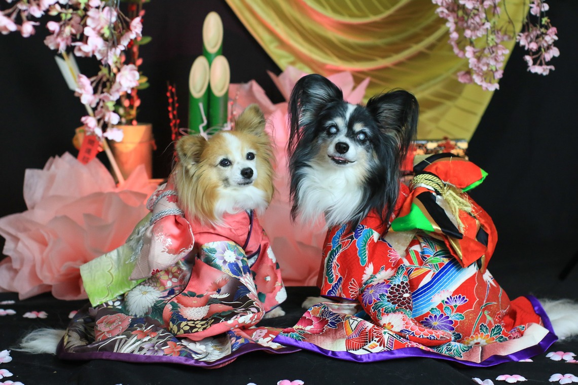 高橋 透（Coo&Sea STUDIO代表）が出張撮影した家族写真(キッズ,ベビーフォト)などが写った「お正月撮影会2020@新横浜Coo&Sea STUDIO」の家族写真