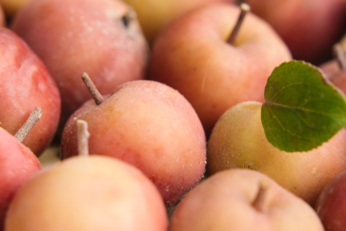 Aurora Photographyが撮影した「商品撮影」の写真