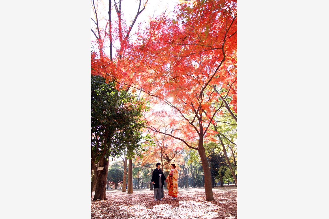 ほんとうにかわいい結婚写真ecoo（エクー）が撮影した「ロケーション/和装」の写真