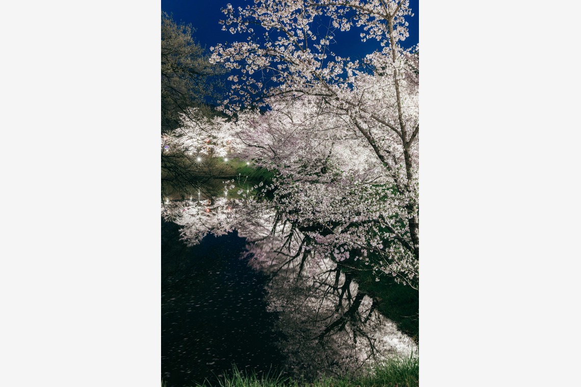 光画堂スタジオが撮影した「旅行」の写真